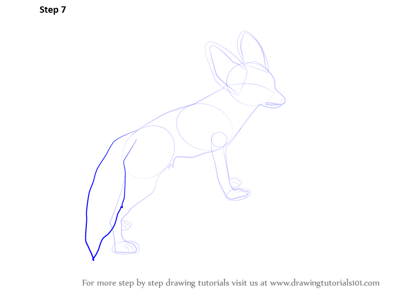 Learn How to Draw a Fennec Fox (Wild Animals) Step by Step : Drawing