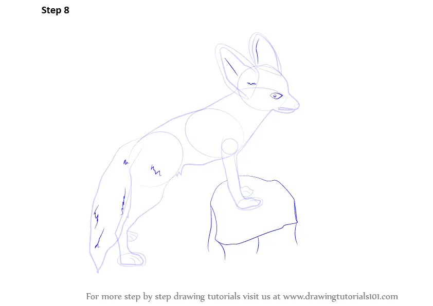 Learn How to Draw a Fennec Fox (Wild Animals) Step by Step : Drawing