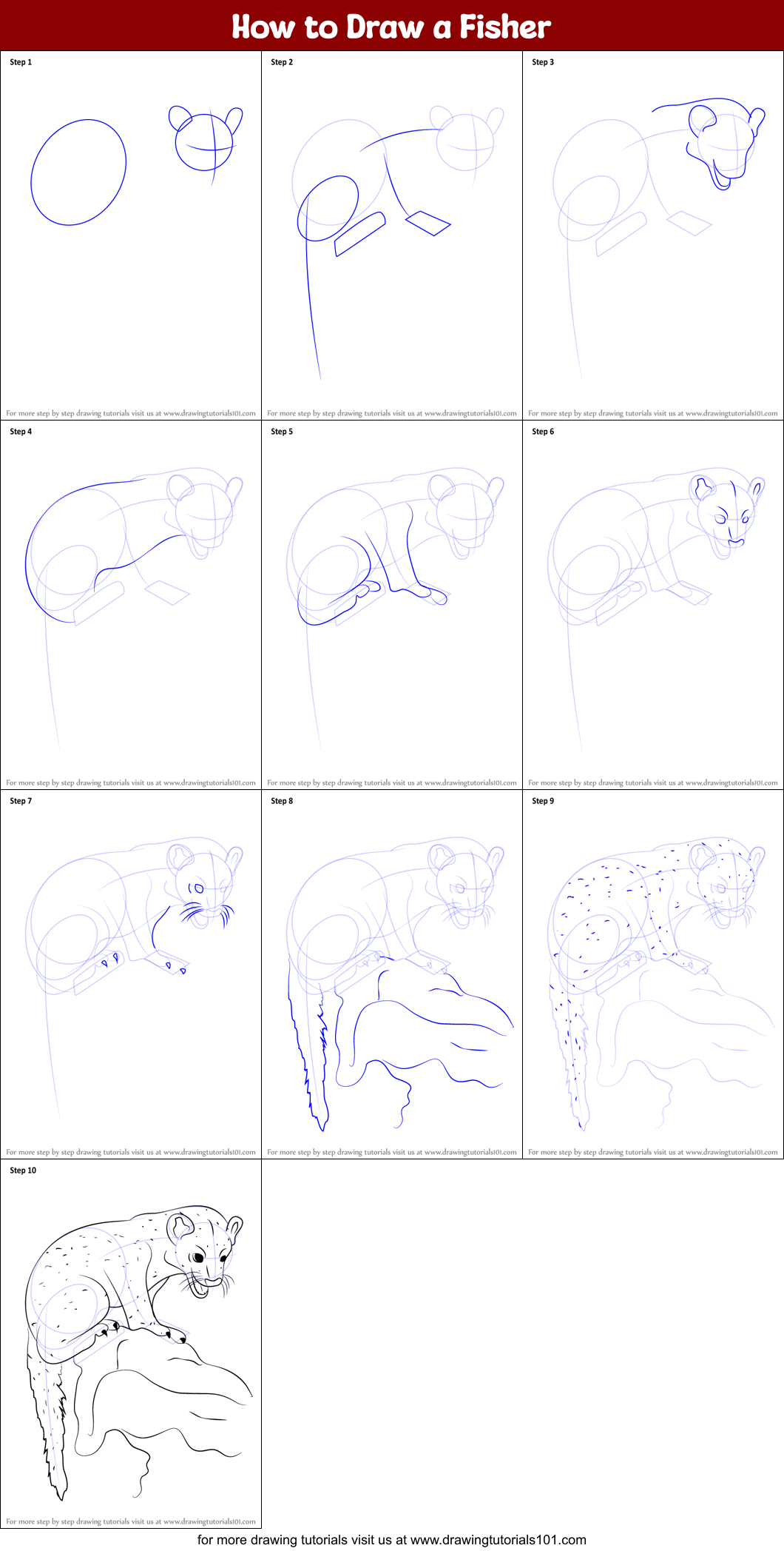How to Draw a Fisher Printable Step by Step