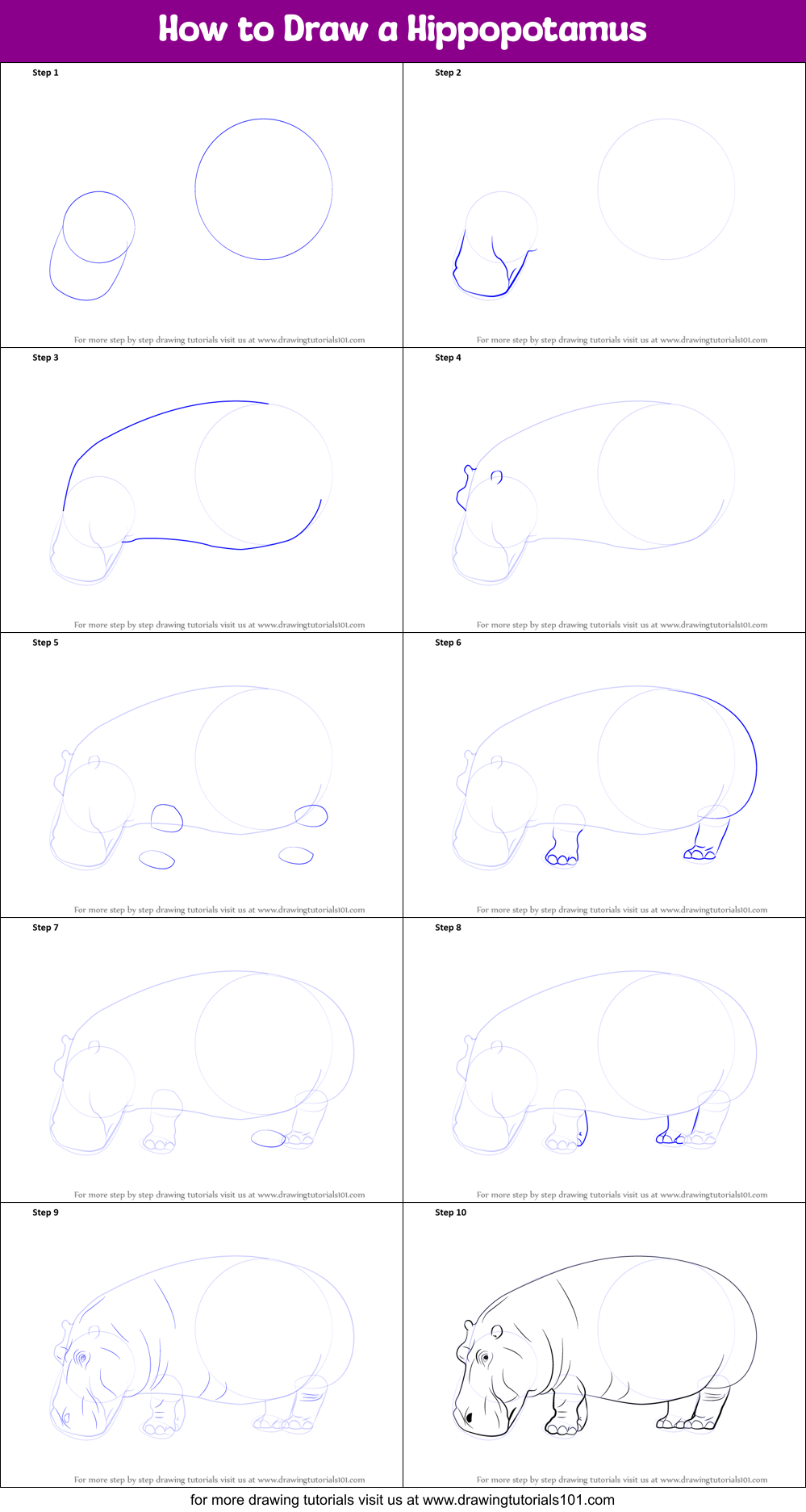How to Draw a Hippopotamus Printable Step by Step