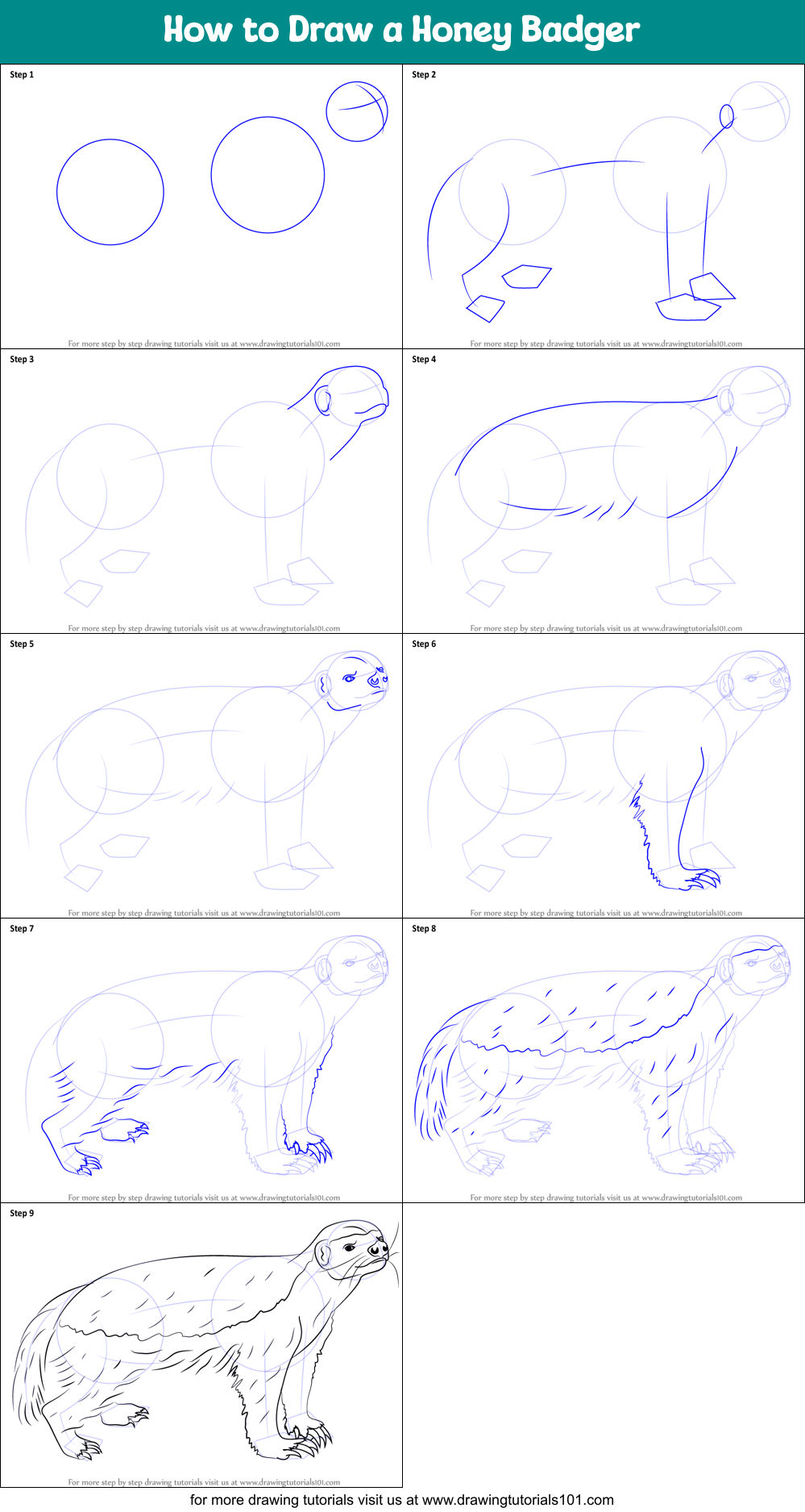 How to Draw a Honey Badger Printable Step by Step