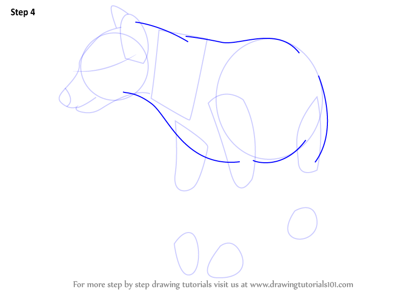 Step by Step How to Draw a Hyena : DrawingTutorials101.com