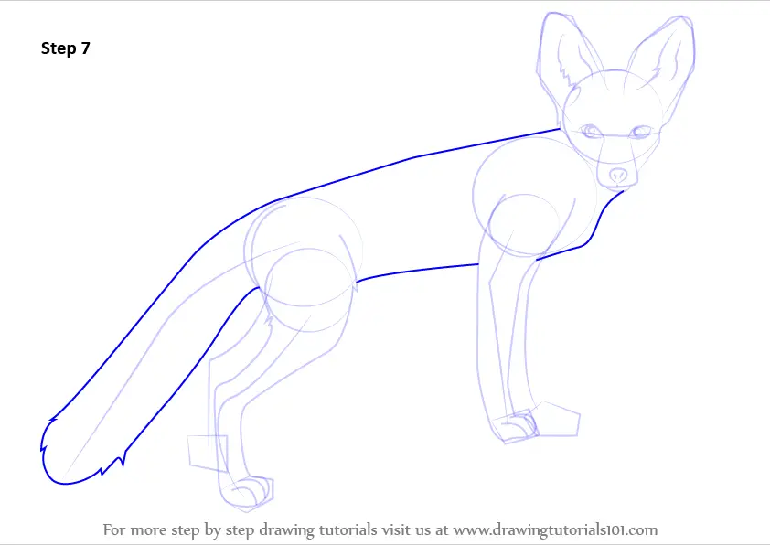 Step by Step How to Draw a Kit Fox : DrawingTutorials101.com