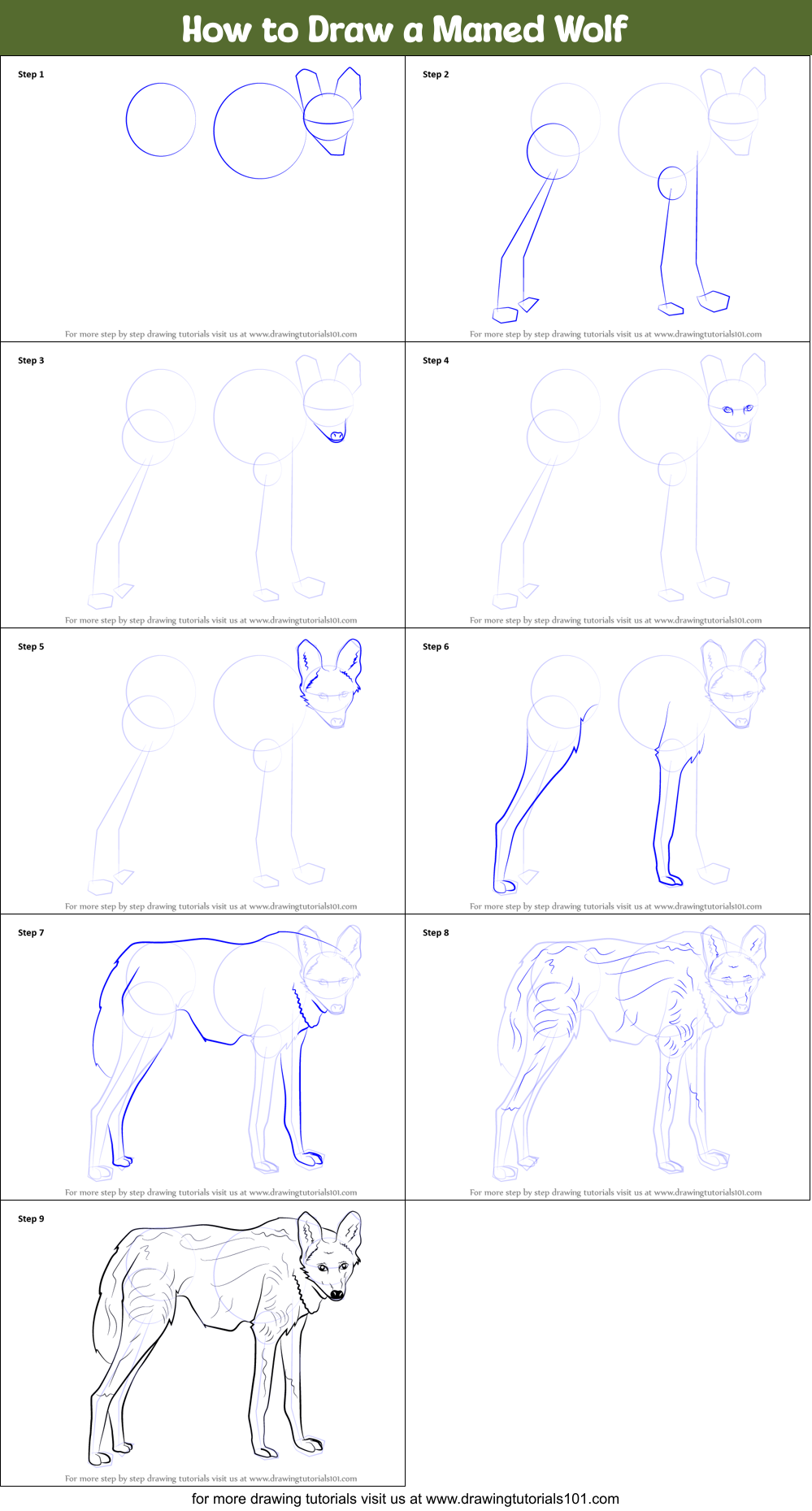 How to Draw a Maned Wolf Printable Step by Step