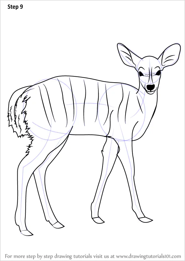 Learn How to Draw a Nyala (Wild Animals) Step by Step : Drawing Tutorials