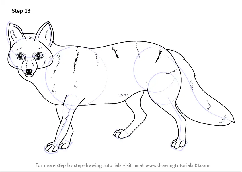 Learn How to Draw a Pampas Fox (Wild Animals) Step by Step : Drawing