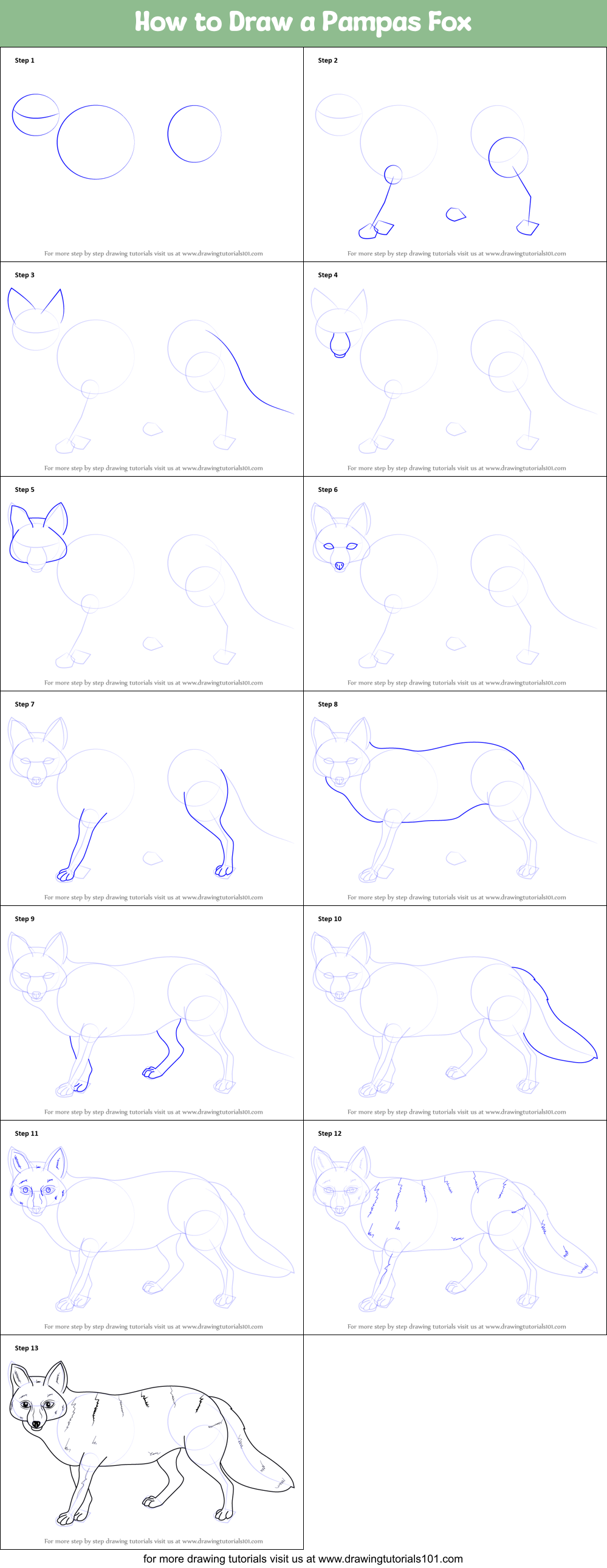 How to Draw a Pampas Fox Printable Step by Step