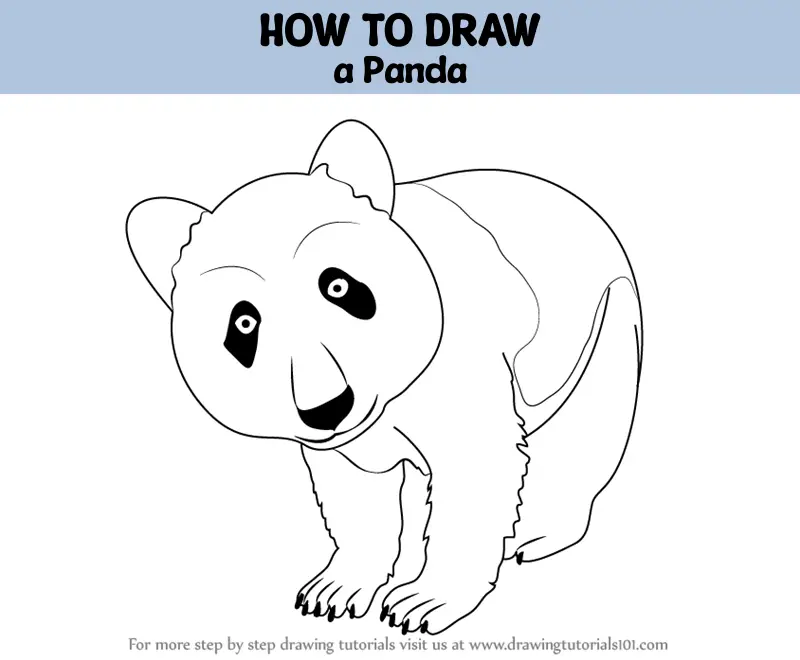 How to Draw Cute Cartoon Panda Bear Easy Step-by-Step Drawing