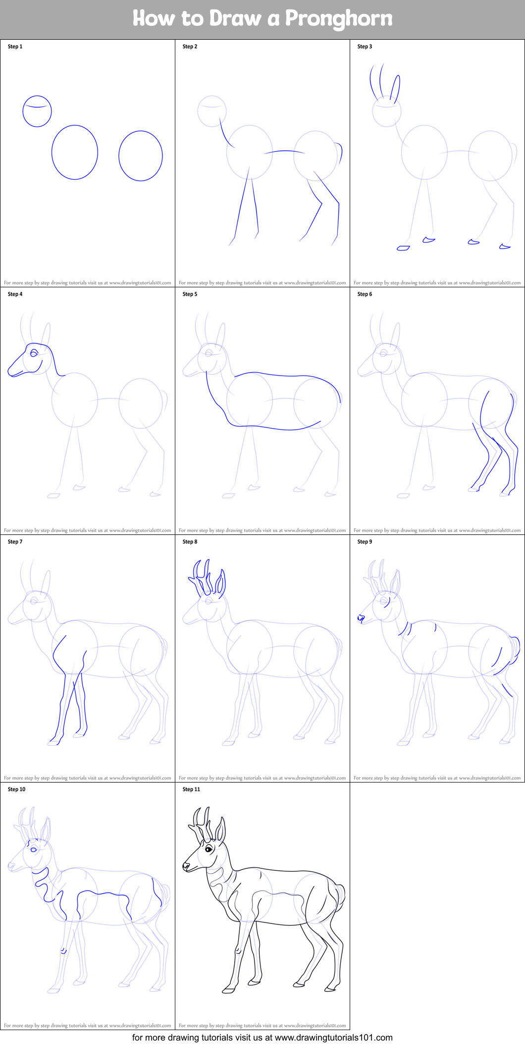 How to Draw a Pronghorn Printable Step by Step