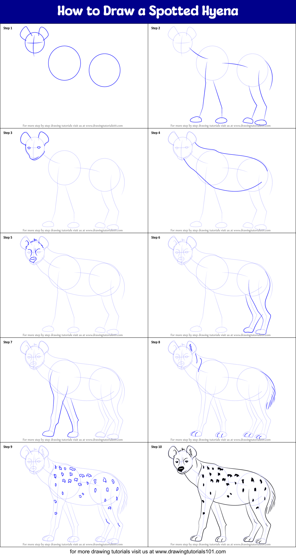 How to Draw a Spotted Hyena Printable Step by Step