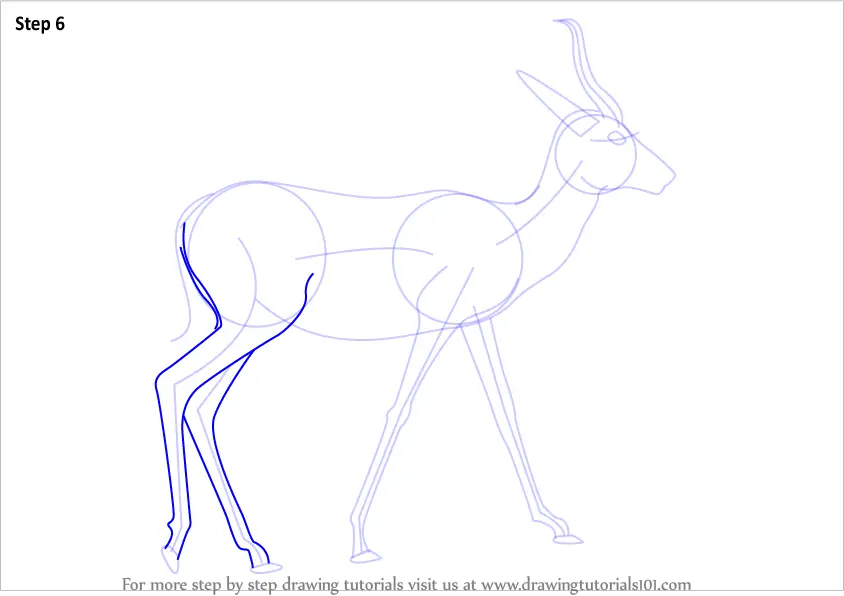 Learn How to Draw a Springbok (Wild Animals) Step by Step : Drawing
