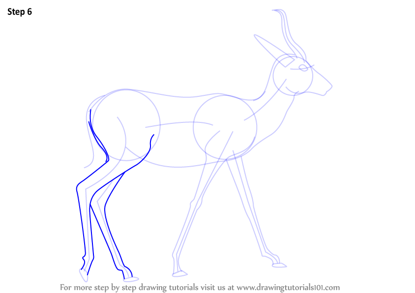 Learn How to Draw a Springbok (Wild Animals) Step by Step : Drawing