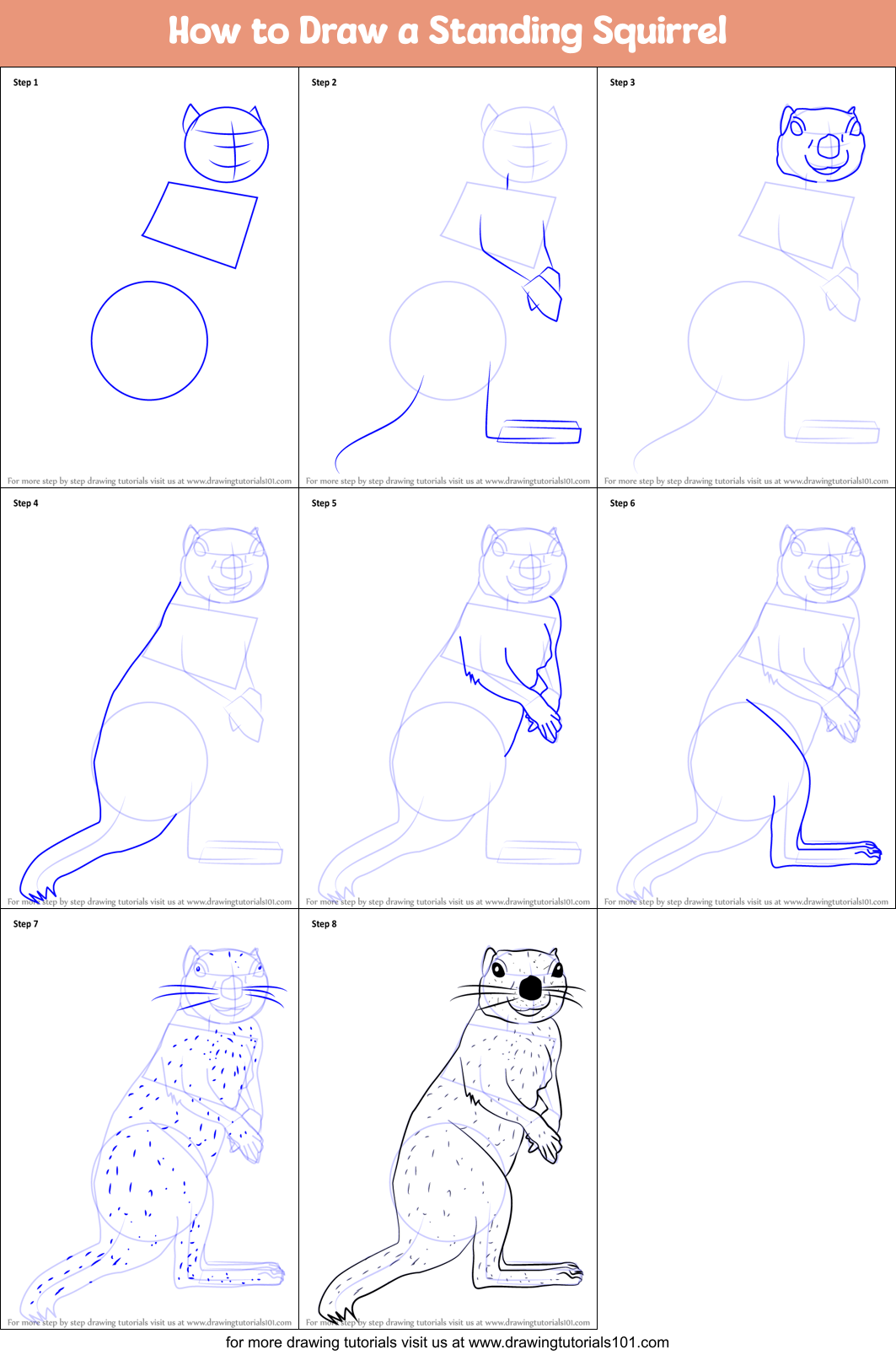How to Draw a Standing Squirrel Printable Step by Step