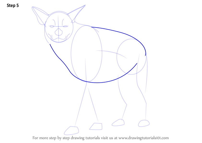 How to Draw a Striped Hyena (Wild Animals) Step by Step