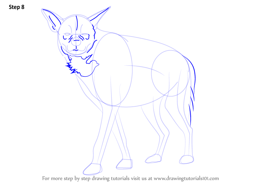 How to Draw a Striped Hyena (Wild Animals) Step by Step