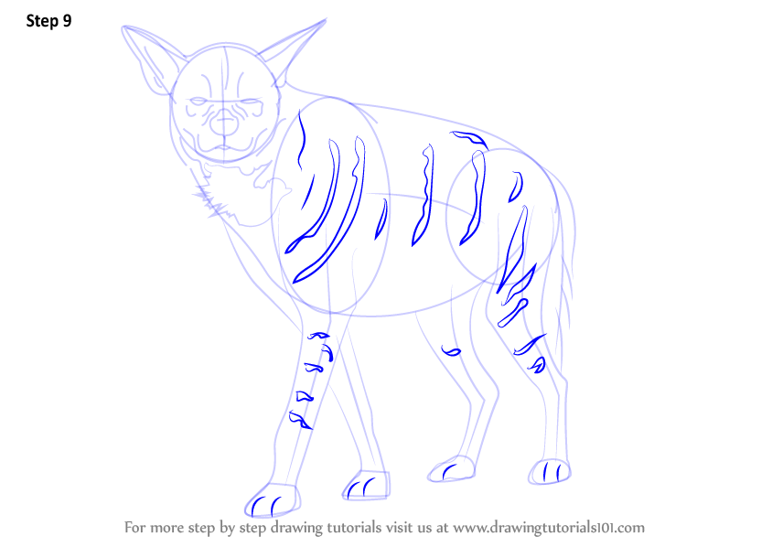 How to Draw a Striped Hyena (Wild Animals) Step by Step