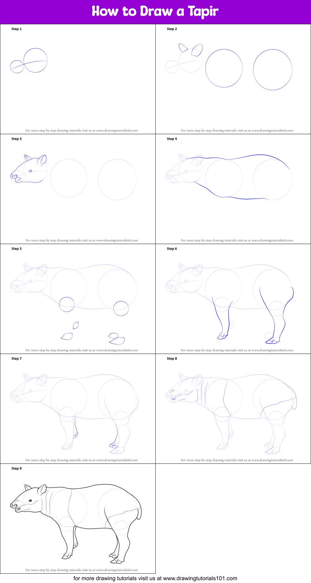 How to Draw a Tapir printable step by step drawing sheet