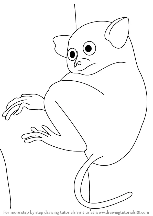 tarsier coloring pages - photo #8