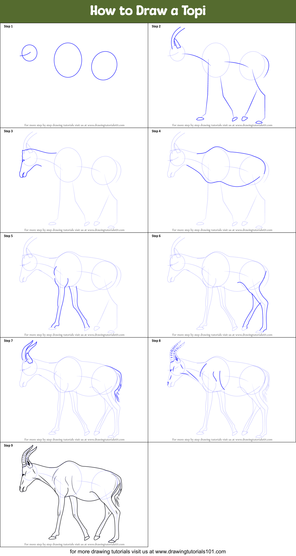 How to Draw a Topi Printable Step by Step