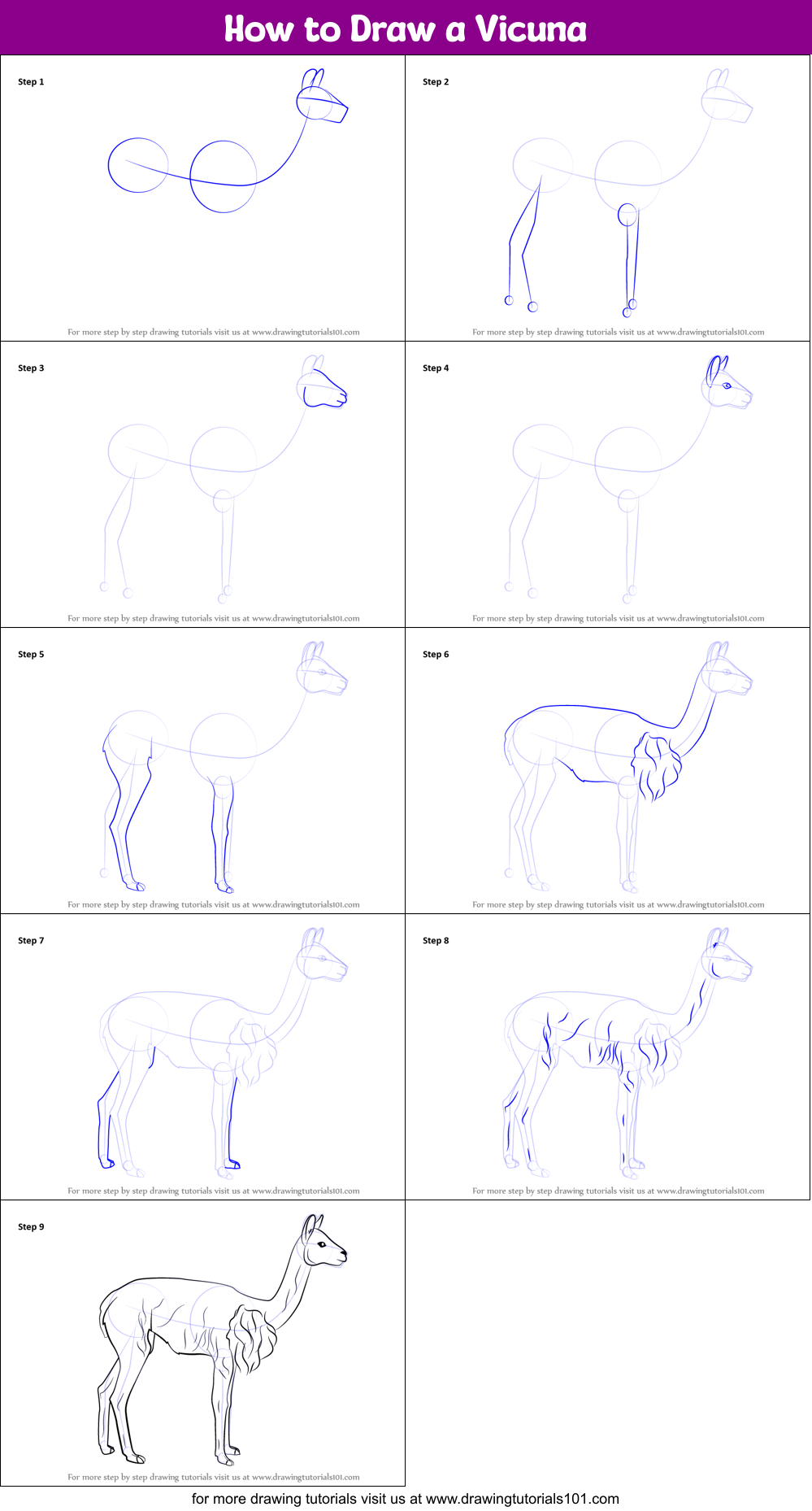 How to Draw a Vicuna Printable Step by Step