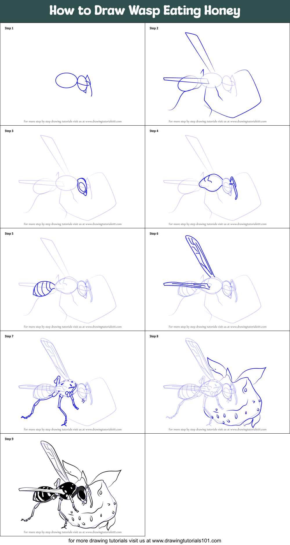 How to Draw Wasp Eating Honey Printable Step by Step