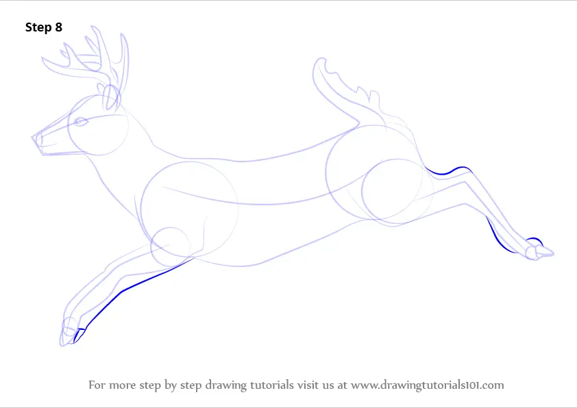 Step by Step How to Draw a White-tailed Deer : DrawingTutorials101.com