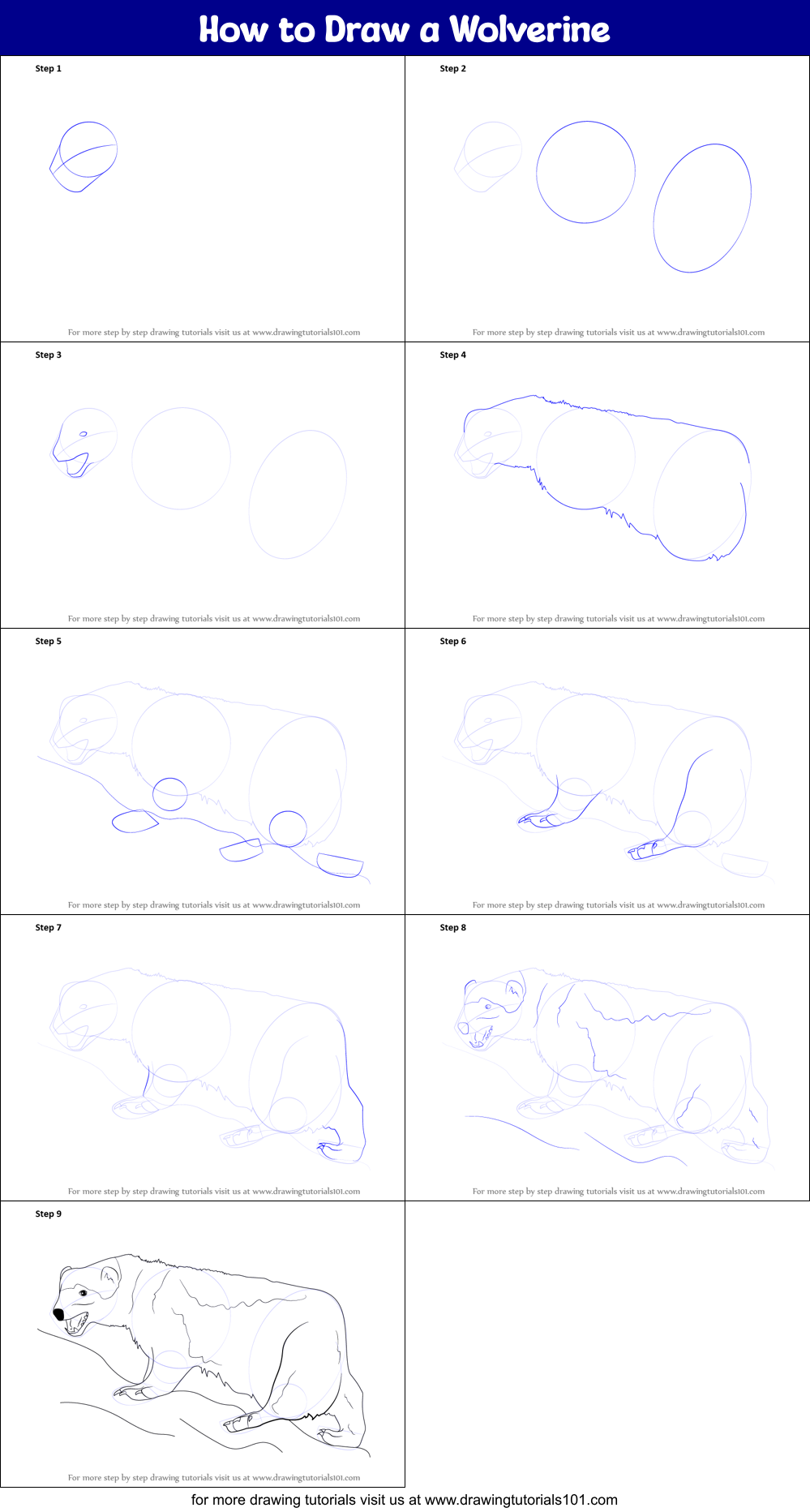 How to Draw a Wolverine Printable Step by Step