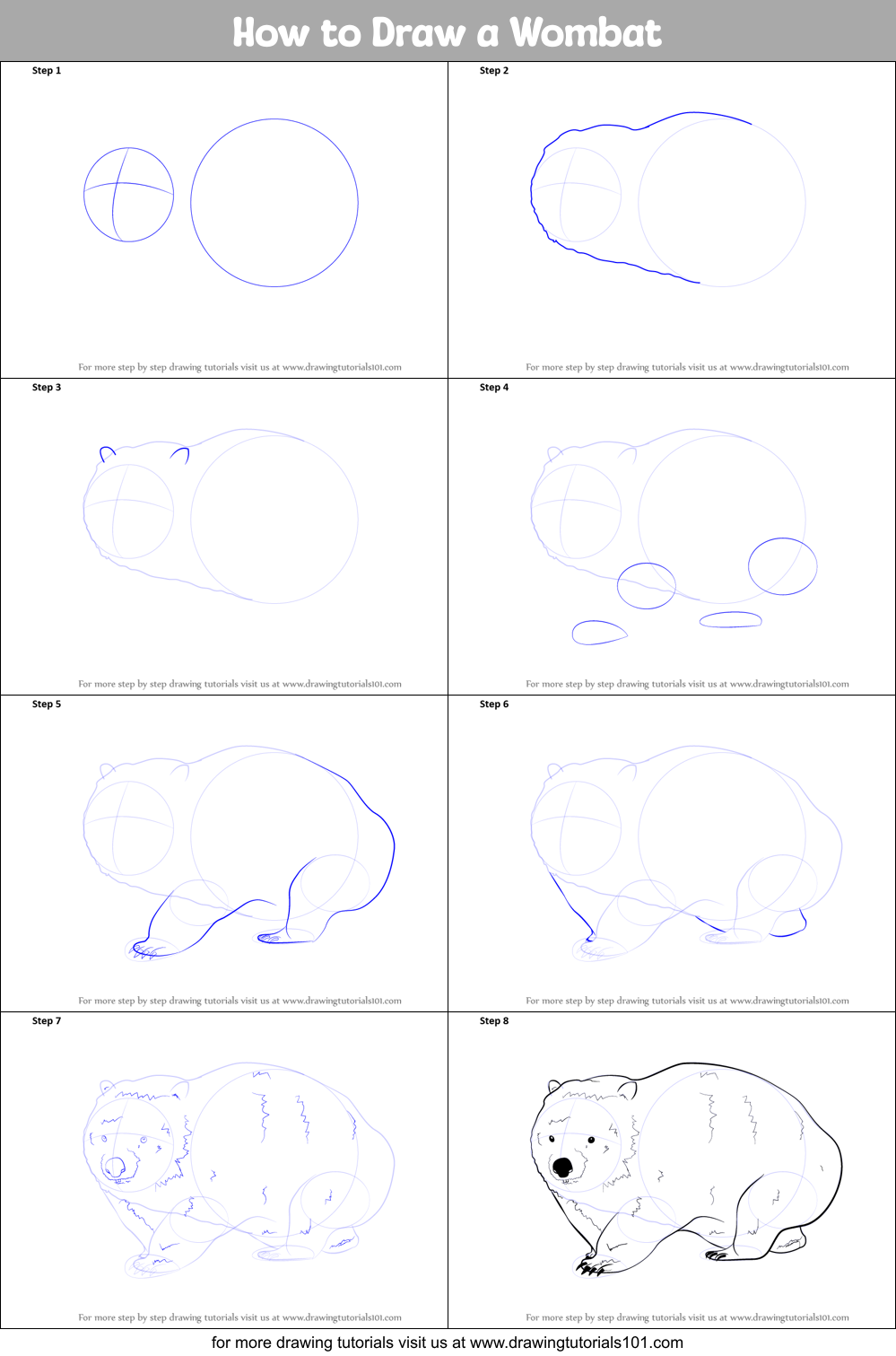 How to Draw a Wombat Printable Step by Step