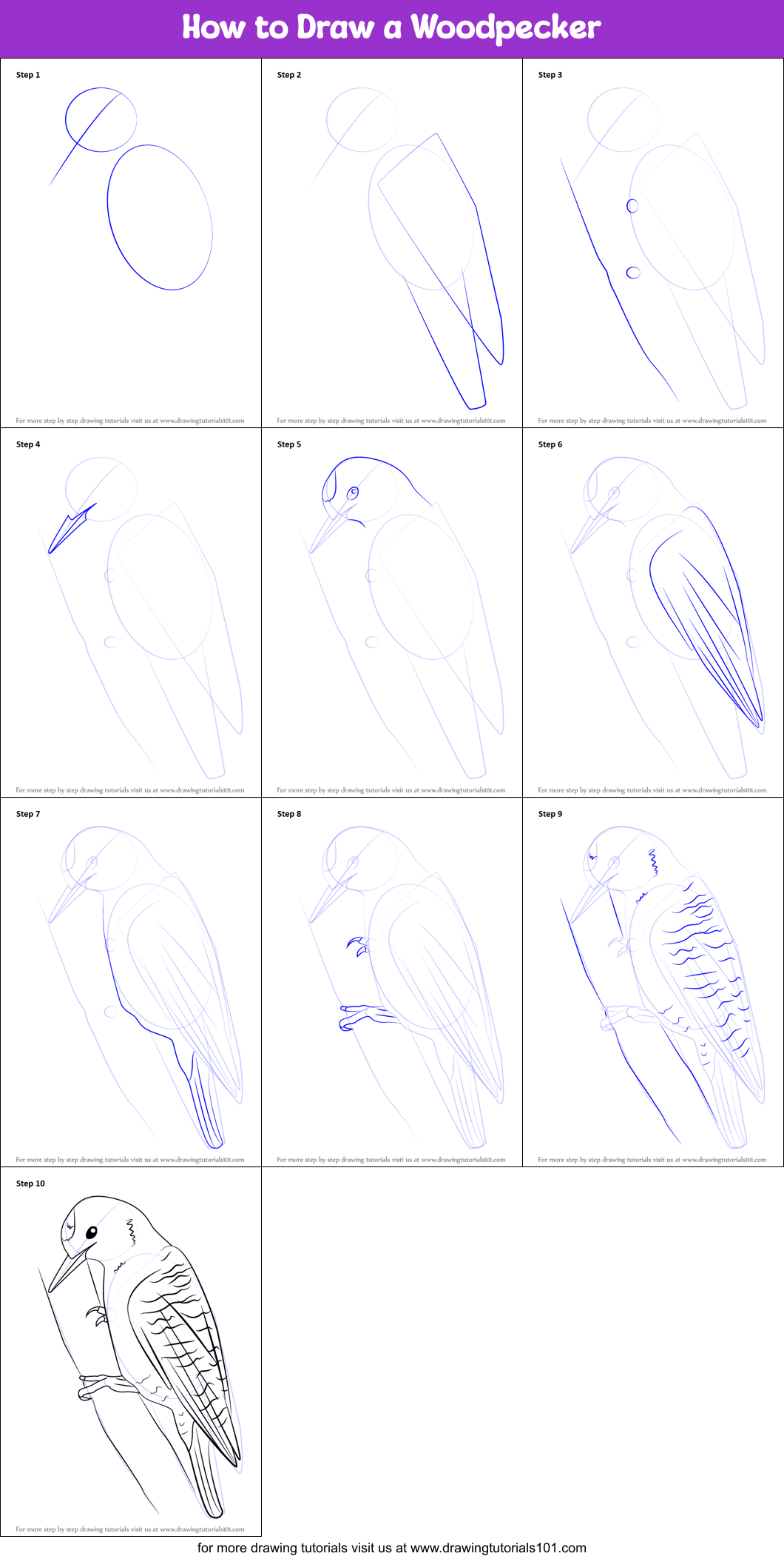 How to Draw a Woodpecker Printable Step by Step