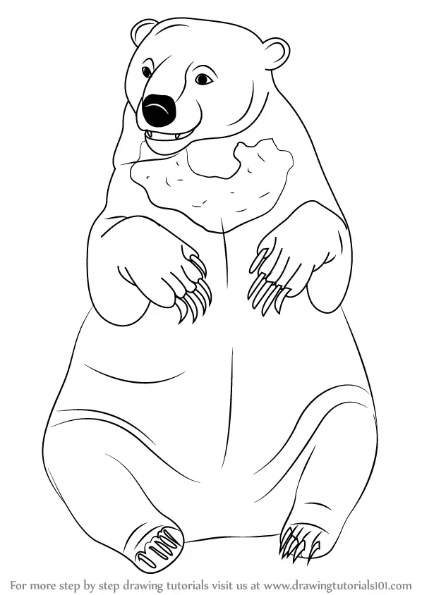Learn How to Draw a Bear (Zoo Animals) Step by Step : Drawing Tutorials