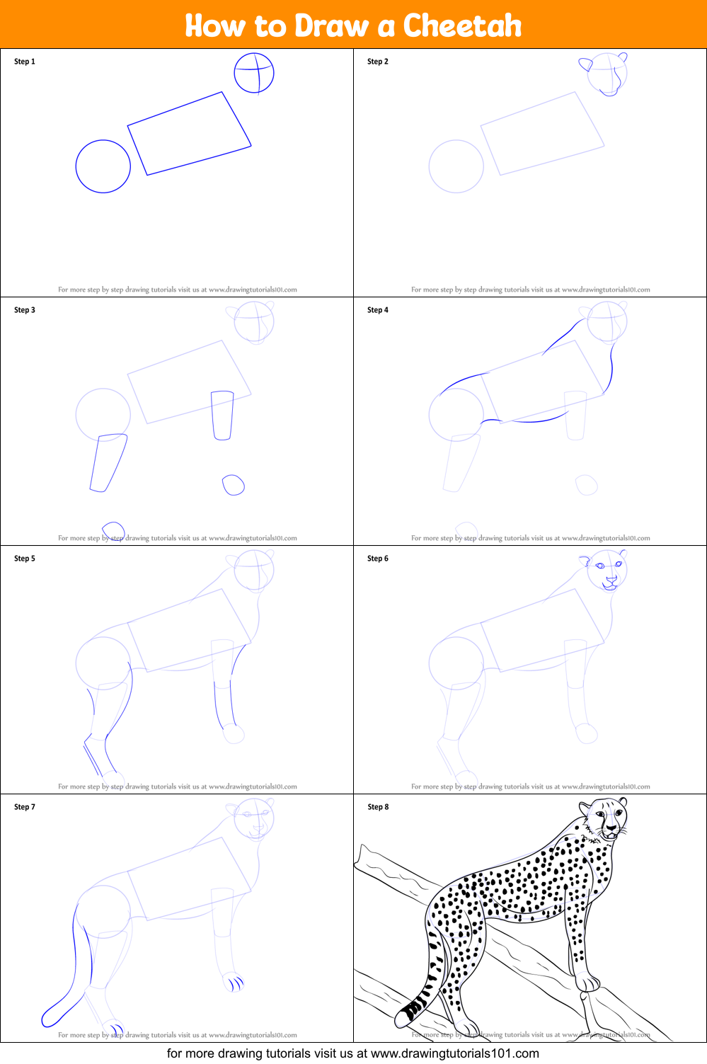 How to Draw a Cheetah printable step by step drawing sheet