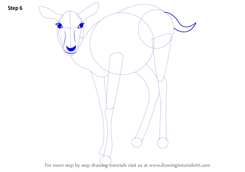 Learn How to Draw a Deer (Zoo Animals) Step by Step : Drawing Tutorials