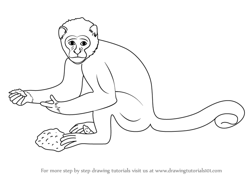 How to Draw a Monkey