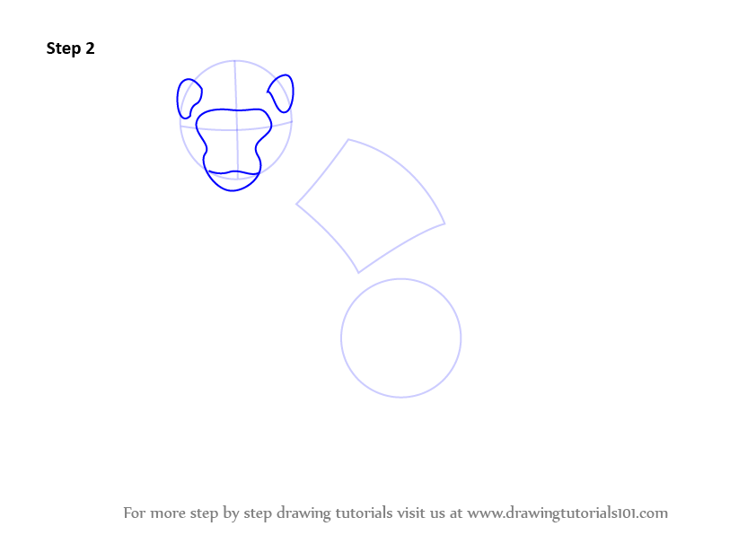 Learn How To Draw A Monkey (Zoo Animals) Step By Step : Drawing Tutorials