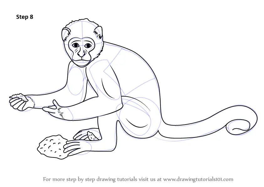 How to Draw a Monkey  Step by Step Drawing Guide  Easy Peasy and Fun