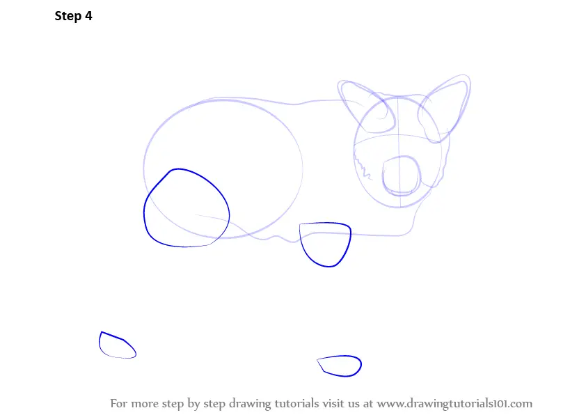 Learn How to Draw a Wolf (Zoo Animals) Step by Step : Drawing Tutorials