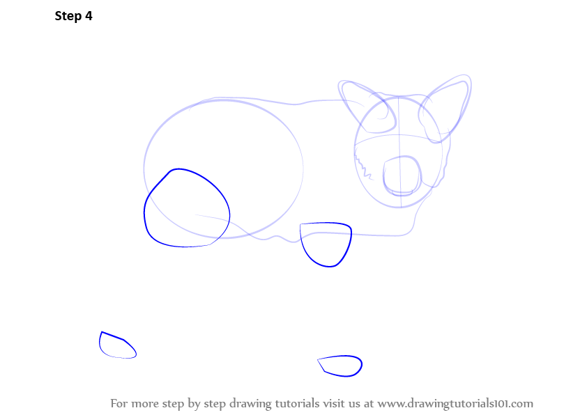 Learn How to Draw a Wolf (Zoo Animals) Step by Step : Drawing Tutorials