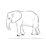 How to Draw an Elephant