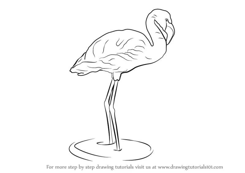 Flamingo - Art Illustration - Monochromatic Pencil Line Sketch - Drawing by  MadliArt