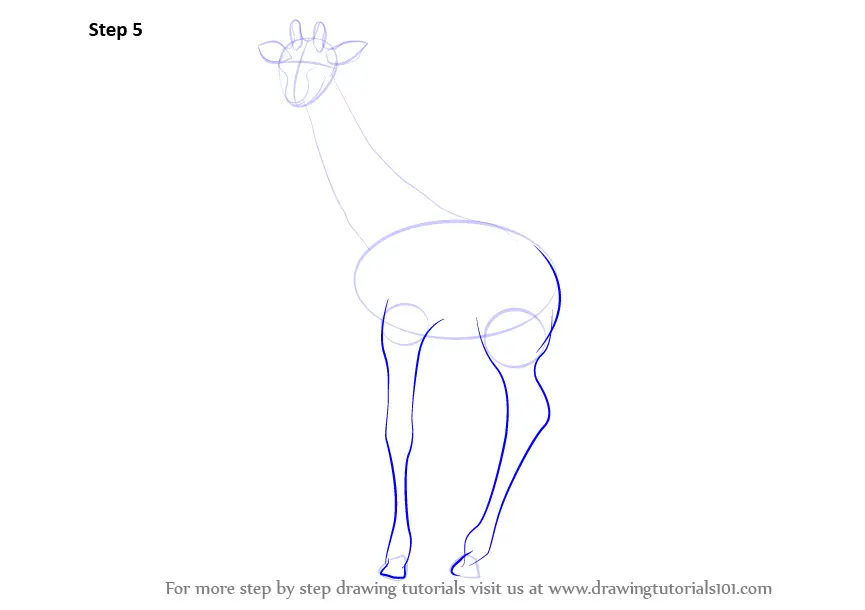 Learn How to draw a Giraffe (Zoo Animals) Step by Step : Drawing Tutorials