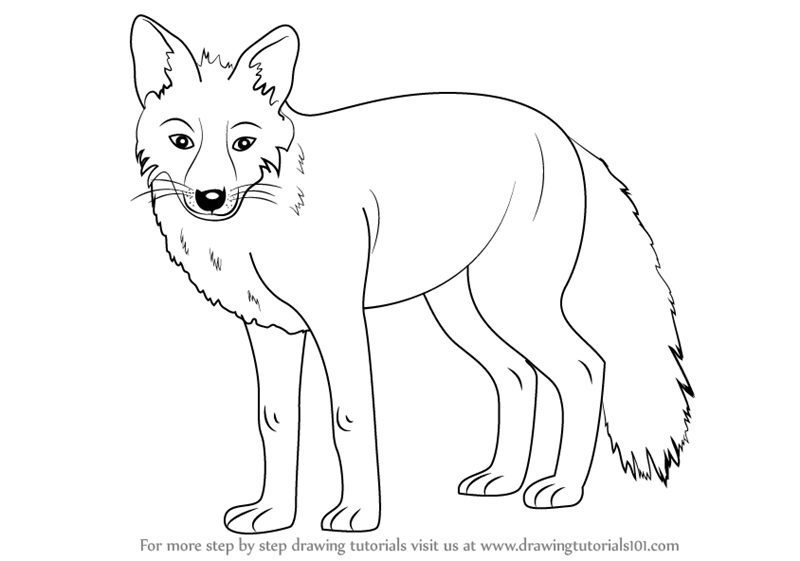 Drawing tutorial for kids. Education worksheet. How to draw fox. Step by  step. Graphic task for preschool and school children with color palette.  Art with wild animal. Vector illustration. 26337568 Vector Art