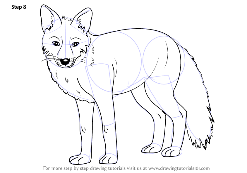 how to draw a fox step by step