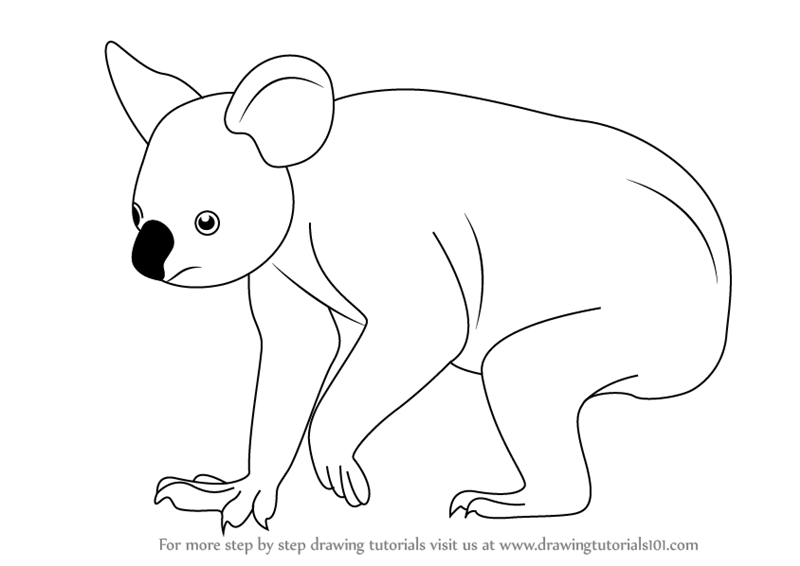 How to Draw a Koala Head