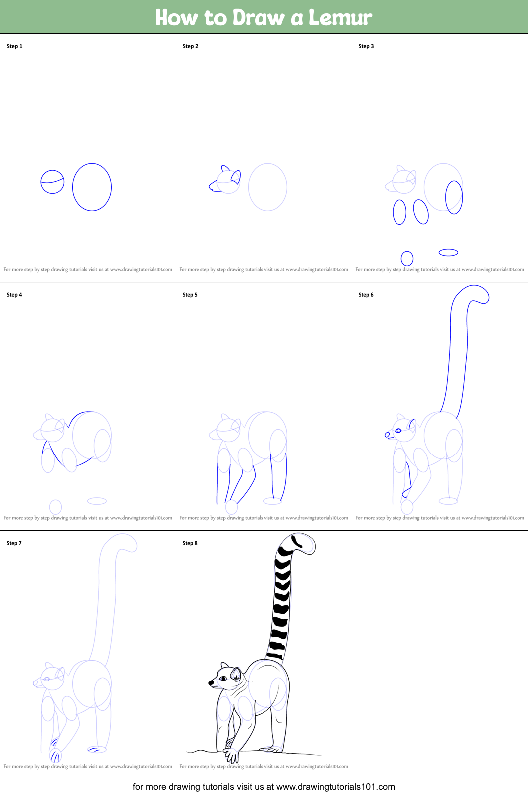 How to Draw a Lemur Printable Step by Step