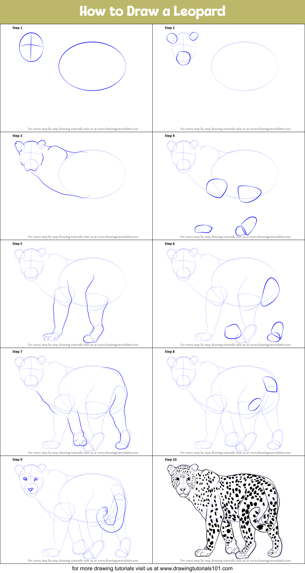How to Draw a Leopard printable step by step drawing sheet