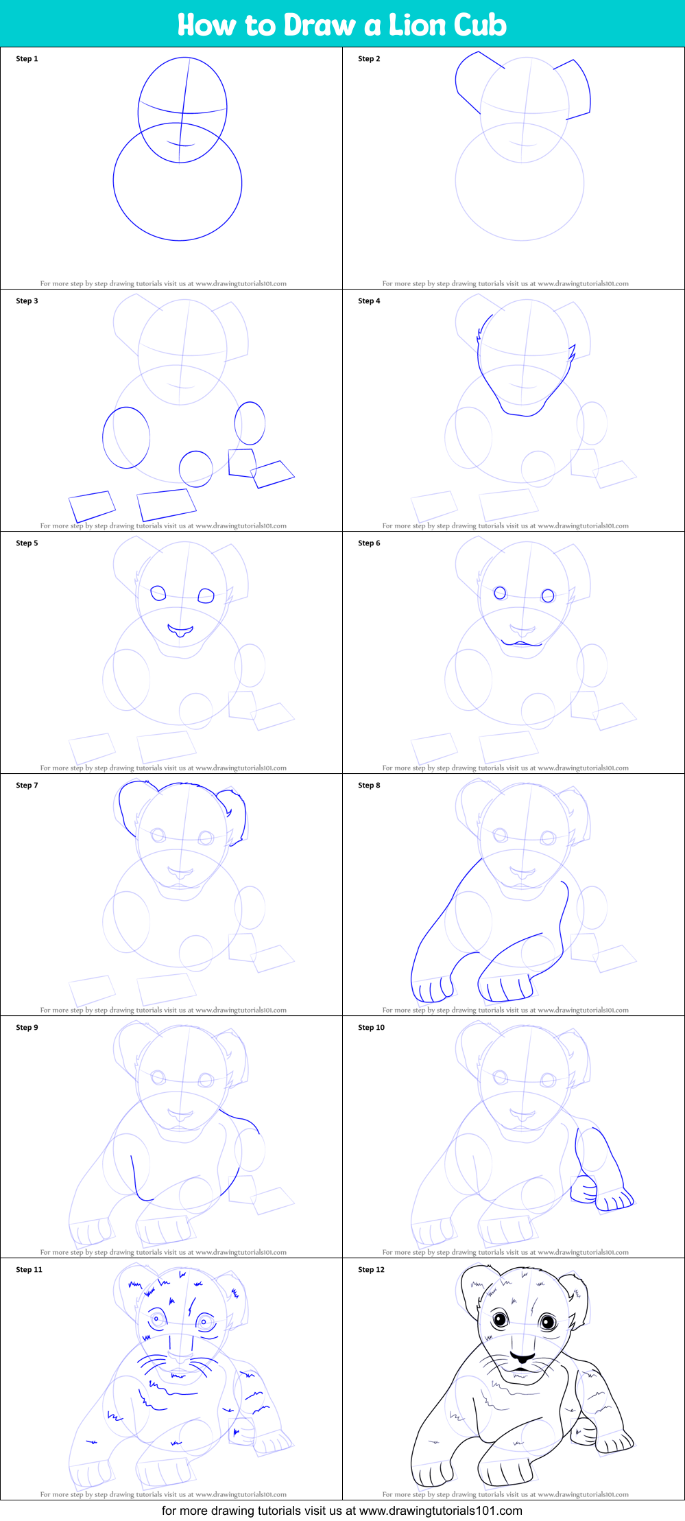 How to Draw a Lion Cub printable step by step drawing sheet