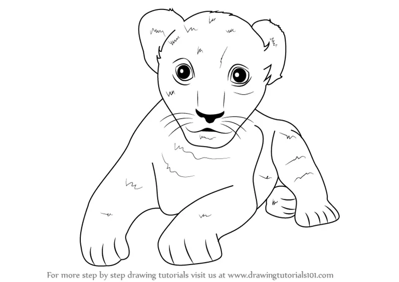 Daily Animal Sketch – African Lion cubs – Last of the Polar Bears