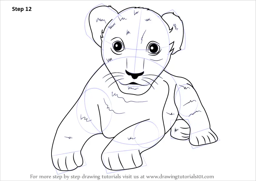 Learn How to Draw a Lion Cub (Zoo Animals) Step by Step : Drawing Tutorials