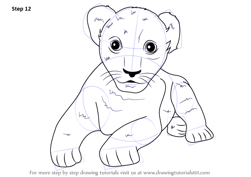 Learn How to Draw a Lion Cub (Zoo Animals) Step by Step : Drawing Tutorials