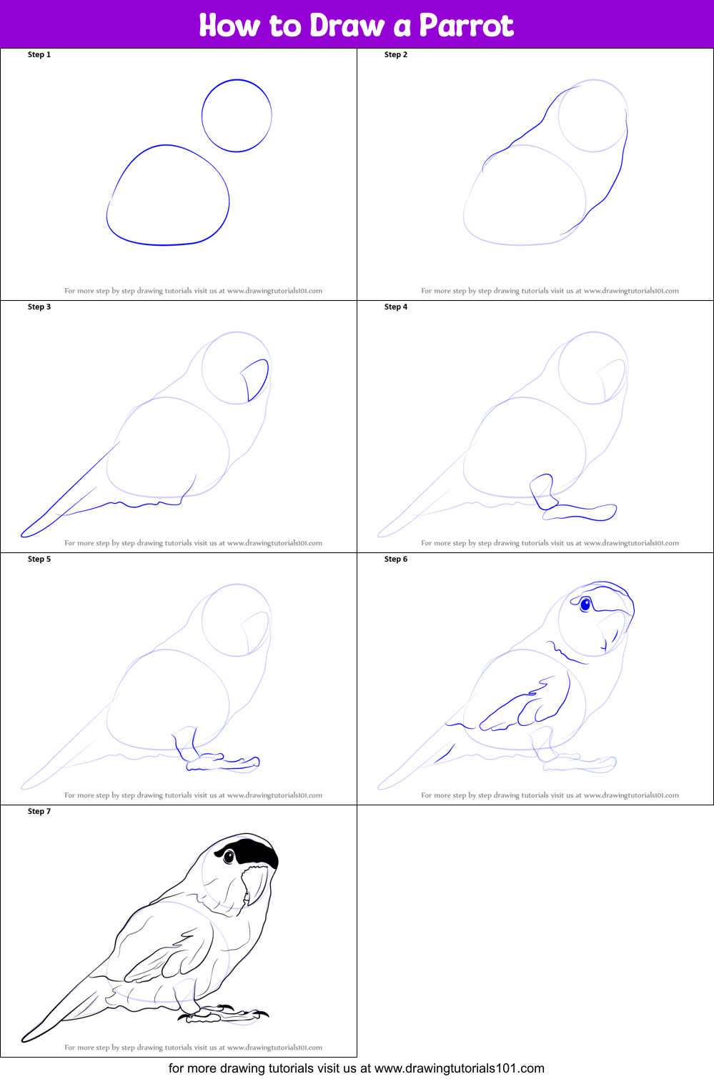 How to Draw a Parrot printable step by step drawing sheet 